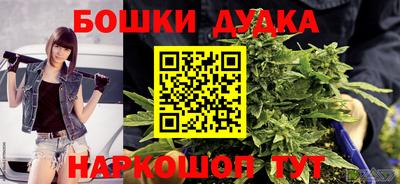 сатива Дубна