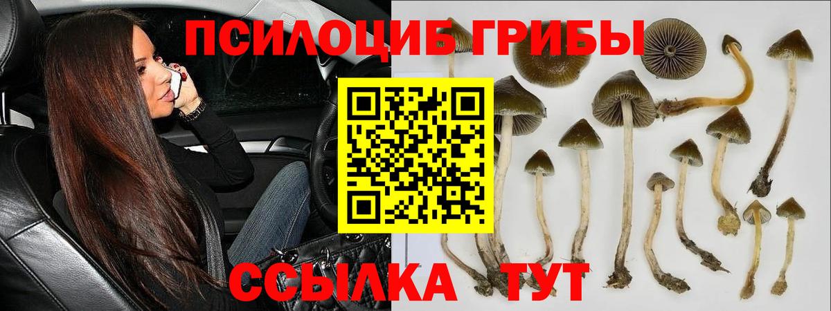 Галлюциногенные грибы ЛСД  Вход с VPN  Псилоцибиновые грибы Psilocybine cubensis  Орск 
